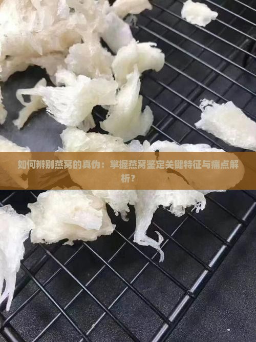 如何辨别燕窝的真伪：掌握燕窝鉴定关键特征与痛点解析？