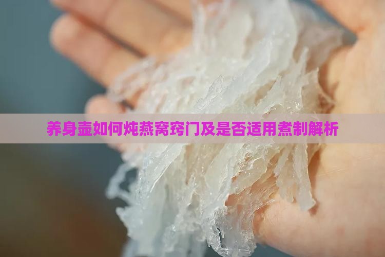 养身壶如何炖燕窝窍门及是否适用煮制解析