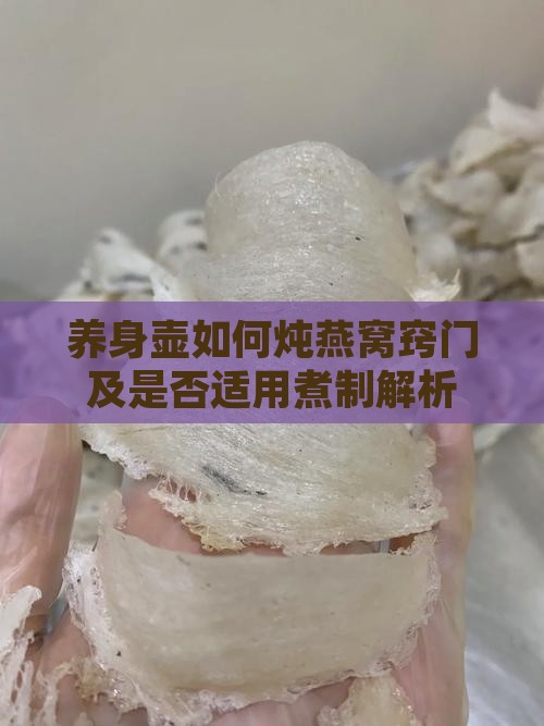 养身壶如何炖燕窝窍门及是否适用煮制解析