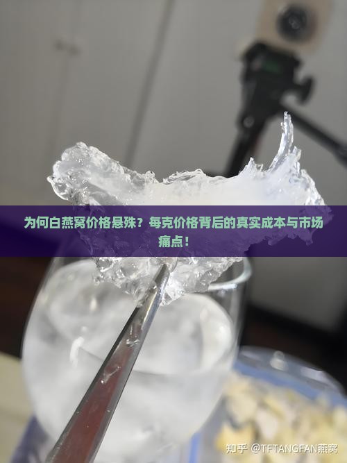 为何白燕窝价格悬殊？每克价格背后的真实成本与市场痛点！
