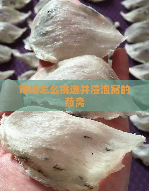 市场怎么挑选并浸泡窝的燕窝