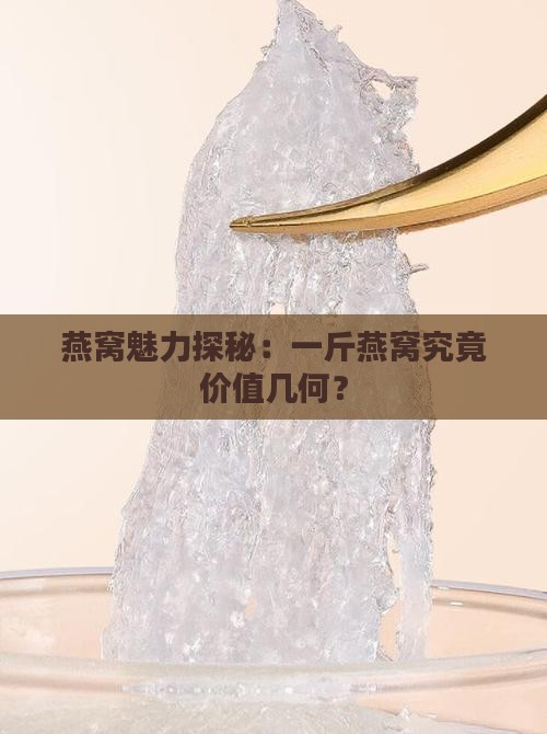燕窝魅力探秘：一斤燕窝究竟价值几何？
