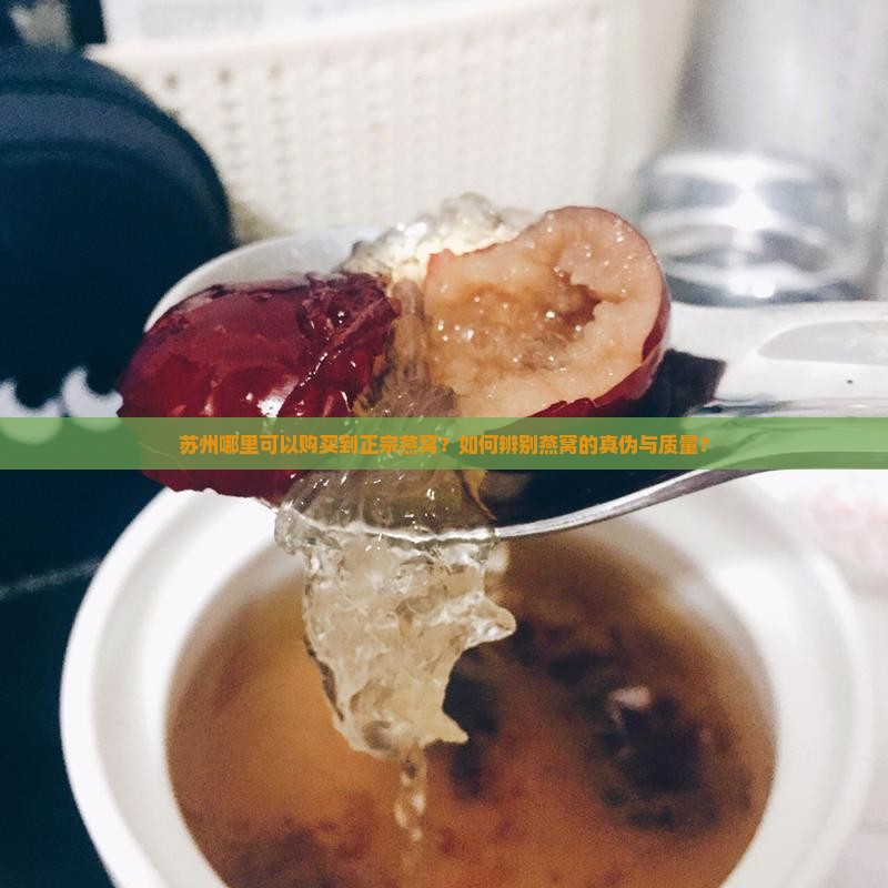 苏州哪里可以购买到正宗燕窝？如何辨别燕窝的真伪与质量？