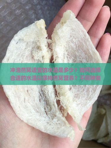 冲泡燕窝适宜的水温是多少？如何选择合适的水温以保持燕窝营养？不同种类的燕窝是否需要不同的水温来冲泡？