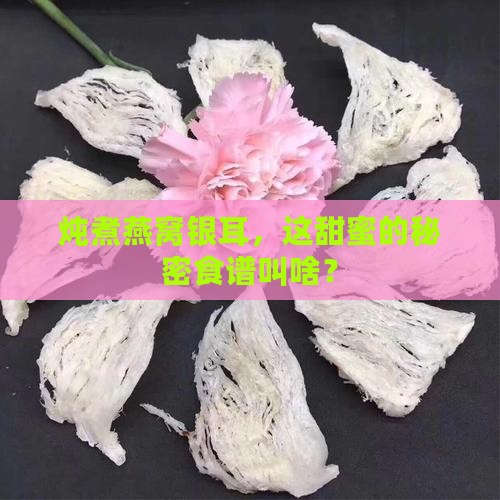 炖煮燕窝银耳，这甜蜜的秘密食谱叫啥？