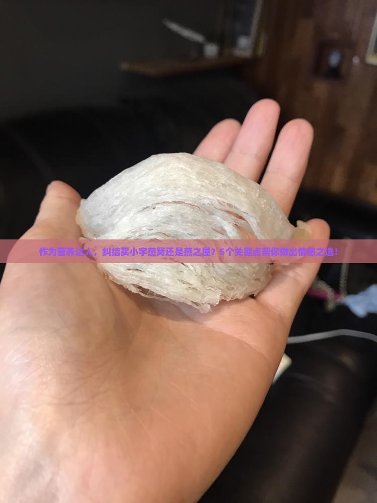 作为营养达人，纠结买小宇燕窝还是燕之屋？5个关键点帮你做出情感之选！