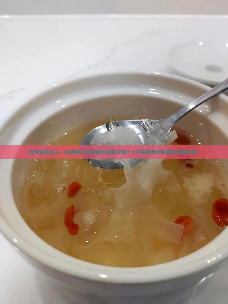 作为营养达人，纠结买小宇燕窝还是燕之屋？5个关键点帮你做出情感之选！