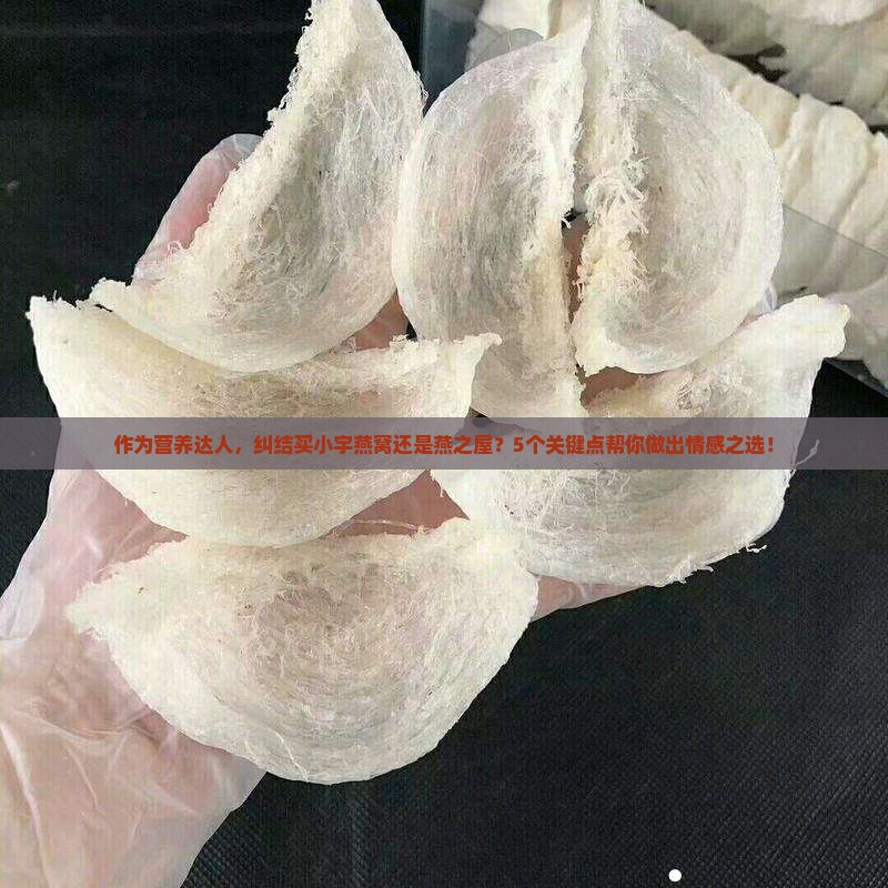 作为营养达人，纠结买小宇燕窝还是燕之屋？5个关键点帮你做出情感之选！