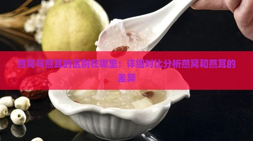 燕窝与燕耳的区别在哪里：详细对比分析燕窝和燕耳的差异