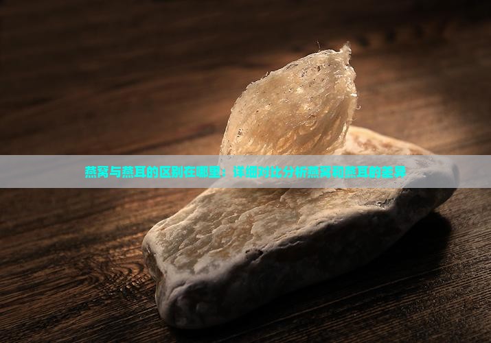 燕窝与燕耳的区别在哪里：详细对比分析燕窝和燕耳的差异