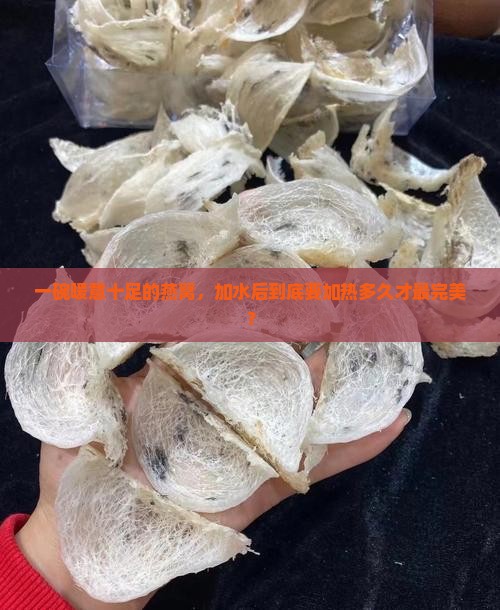 一碗暖意十足的燕窝，加水后到底要加热多久才最完美？