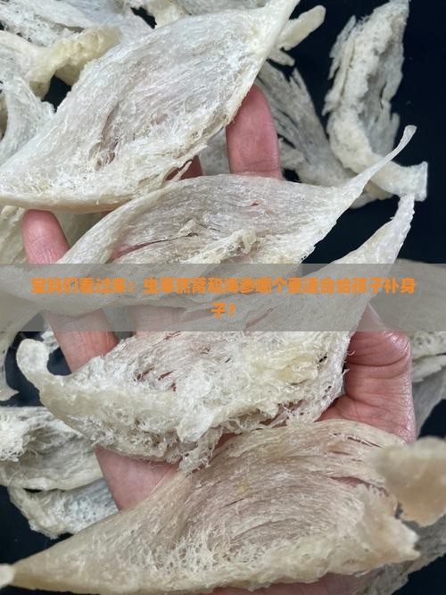 宝妈们看过来：虫草燕窝和海参哪个更适合给孩子补身子？