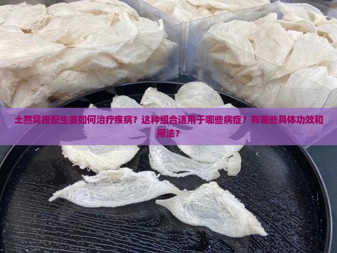 土燕窝搭配生姜如何治疗疾病？这种组合适用于哪些病症？有哪些具体功效和用法？