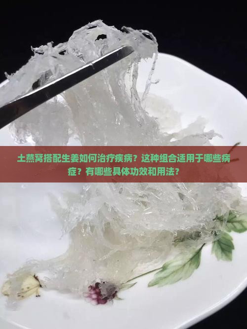 土燕窝搭配生姜如何治疗疾病？这种组合适用于哪些病症？有哪些具体功效和用法？