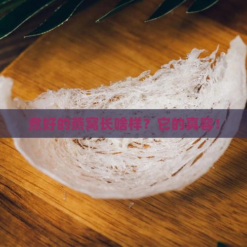 煮好的燕窝长啥样？它的真容！