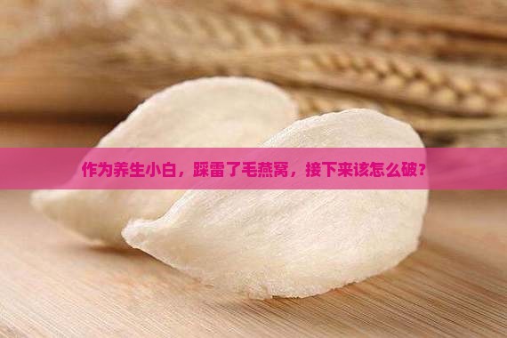 作为养生小白，踩雷了毛燕窝，接下来该怎么破？