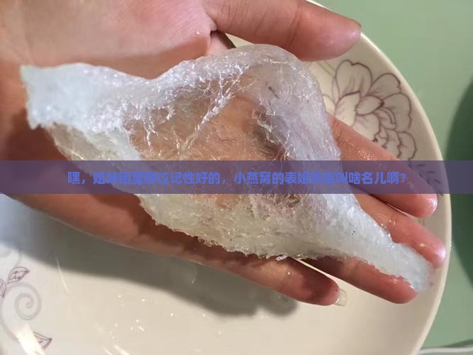 嘿，姐妹团里那位记性好的，小燕窝的表姐到底叫啥名儿啊？