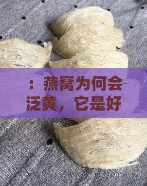：燕窝为何会泛黄，它是好燕窝吗？