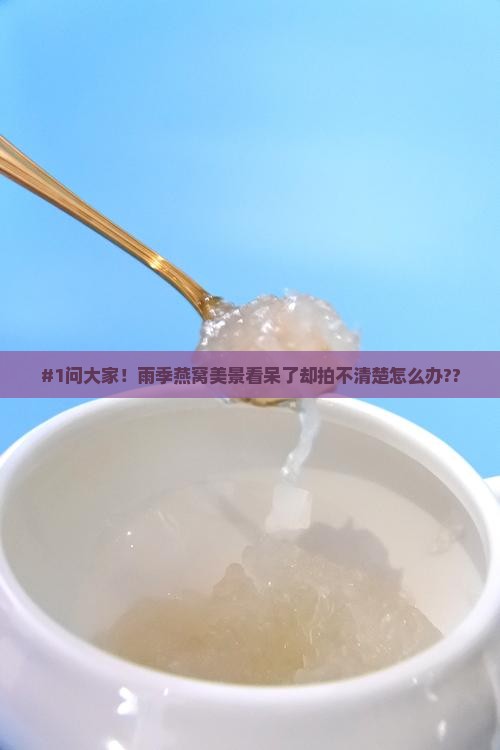 #1问大家！雨季燕窝美景看呆了却拍不清楚怎么办??