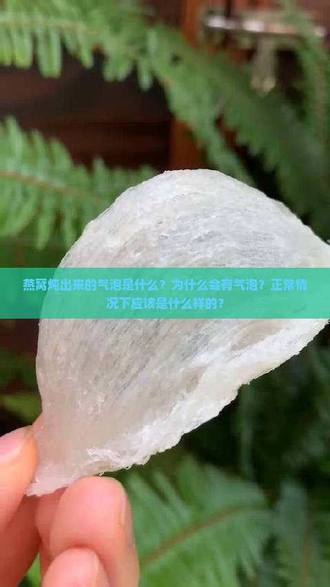 燕窝炖出来的气泡是什么？为什么会有气泡？正常情况下应该是什么样的？