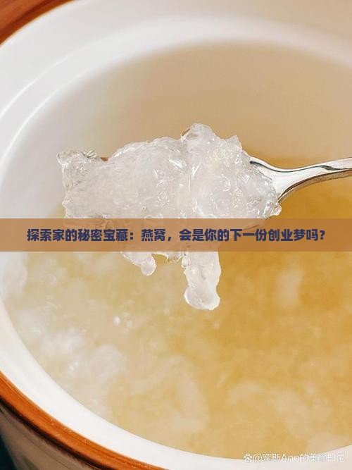 探索家的秘密宝藏：燕窝，会是你的下一份创业梦吗？