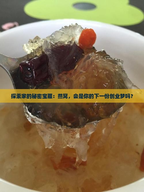 探索家的秘密宝藏：燕窝，会是你的下一份创业梦吗？