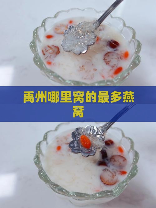 禹州哪里窝的最多燕窝