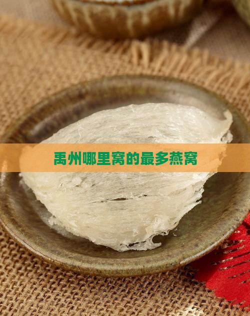 禹州哪里窝的最多燕窝