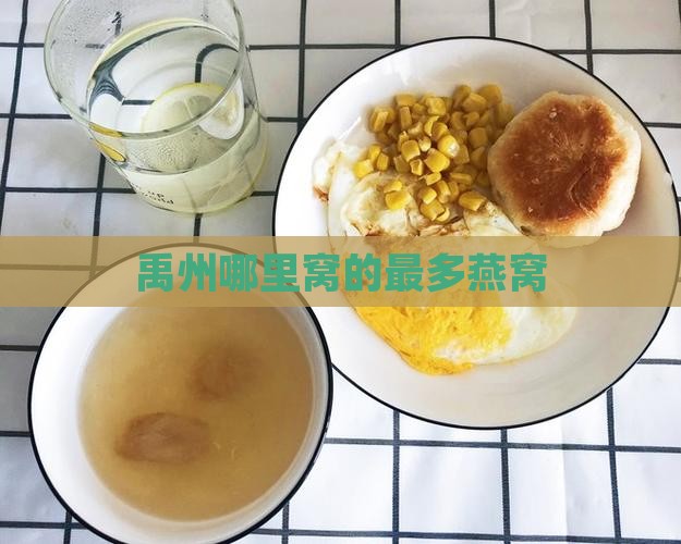 禹州哪里窝的最多燕窝