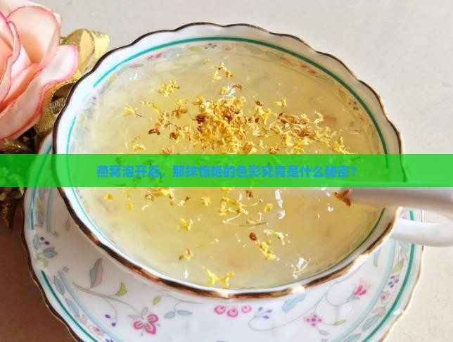 燕窝泡开后，那抹惊艳的色彩究竟是什么秘密？