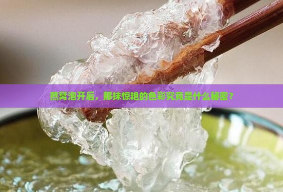 燕窝泡开后，那抹惊艳的色彩究竟是什么秘密？