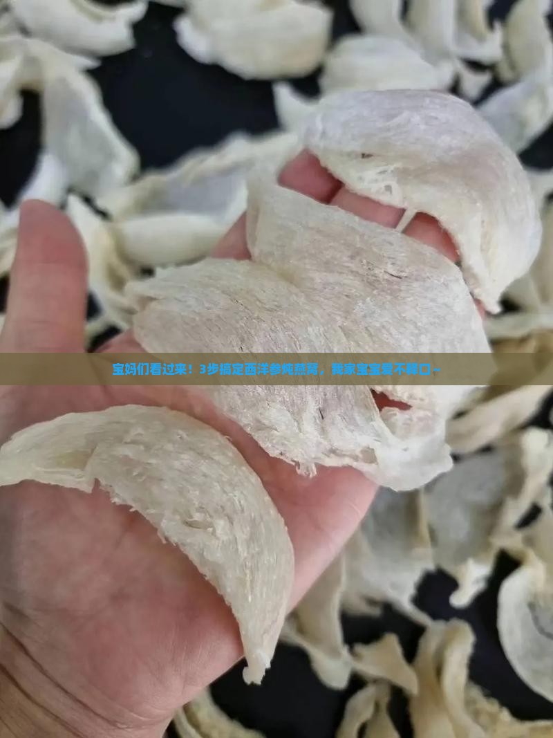 宝妈们看过来！3步搞定西洋参炖燕窝，我家宝宝爱不释口～