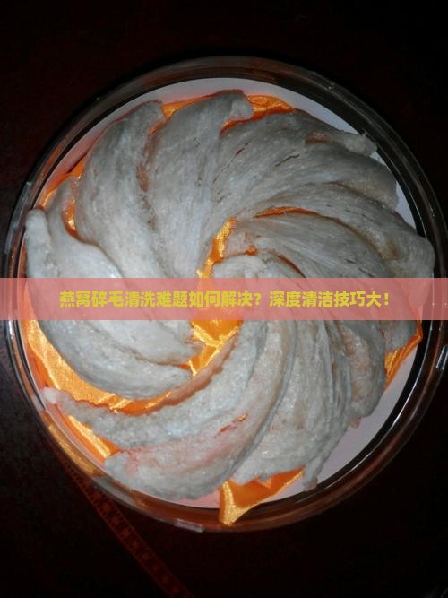 燕窝碎毛清洗难题如何解决？深度清洁技巧大！