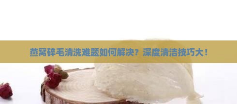 燕窝碎毛清洗难题如何解决？深度清洁技巧大！