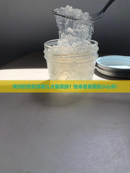 炖好的燕窝放哪儿才最保鲜？快来看看我的小心得！