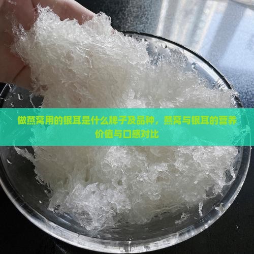 做燕窝用的银耳是什么牌子及品种，燕窝与银耳的营养价值与口感对比