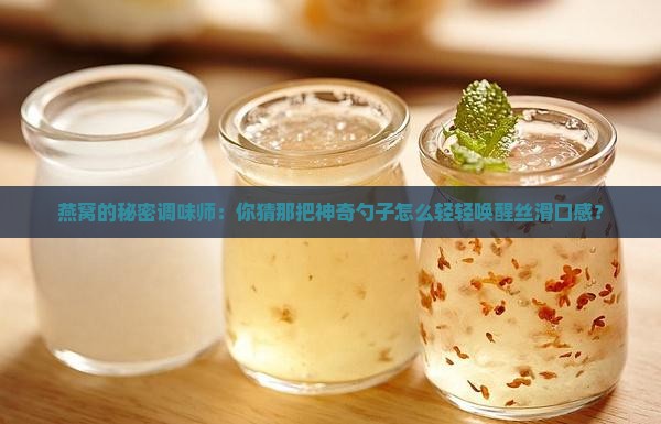 燕窝的秘密调味师：你猜那把神奇勺子怎么轻轻唤醒丝滑口感？