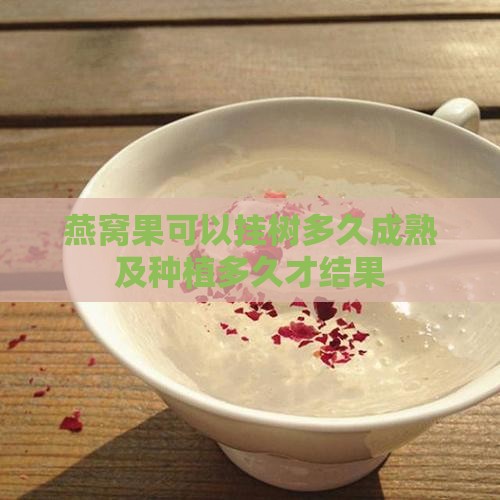 燕窝果可以挂树多久成熟及种植多久才结果
