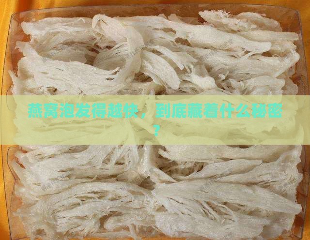 燕窝泡发得越快，到底藏着什么秘密？