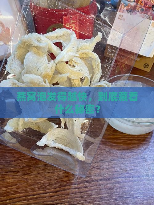 燕窝泡发得越快，到底藏着什么秘密？