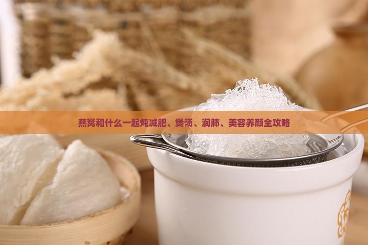 燕窝和什么一起炖减肥、煲汤、润肺、美容养颜全攻略
