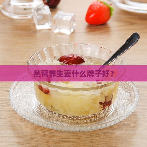 燕窝养生壶什么牌子好？