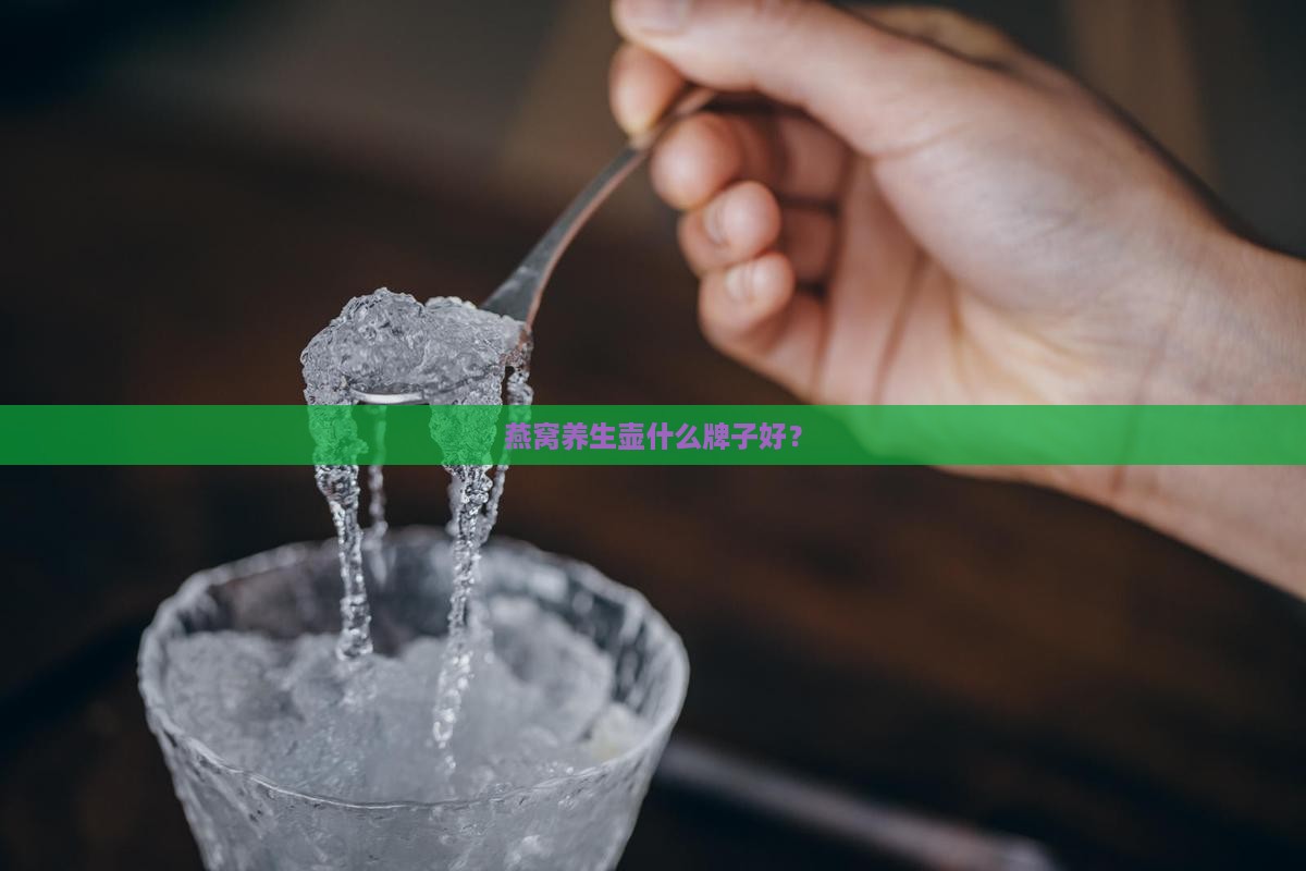 燕窝养生壶什么牌子好？