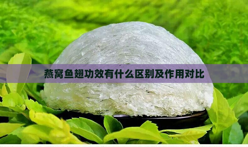 燕窝鱼翅功效有什么区别及作用对比