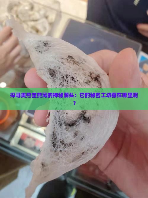 探寻美燕堂燕窝的神秘源头：它的秘密工坊藏在哪里呢？