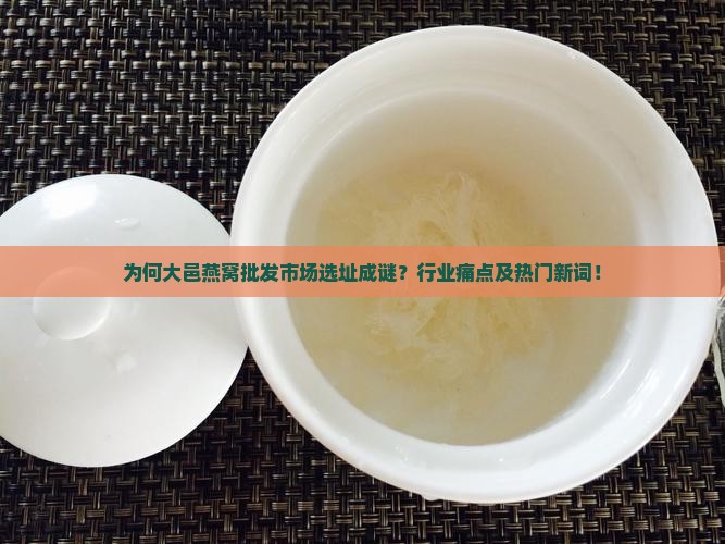 为何大邑燕窝批发市场选址成谜？行业痛点及热门新词！