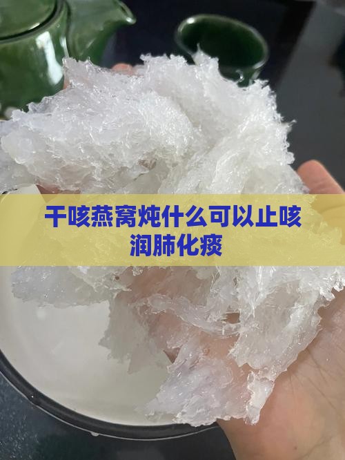干咳燕窝炖什么可以止咳 润肺化痰 干咳燕窝炖什么可以止咳 润肺化痰