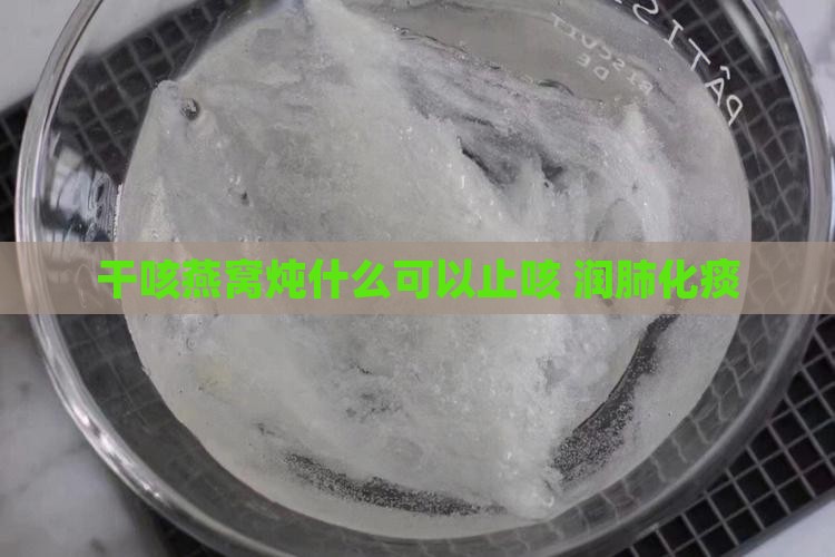 干咳燕窝炖什么可以止咳 润肺化痰 干咳燕窝炖什么可以止咳 润肺化痰