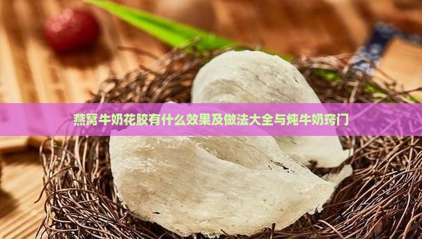 燕窝牛奶花胶有什么效果及做法大全与炖牛奶窍门
