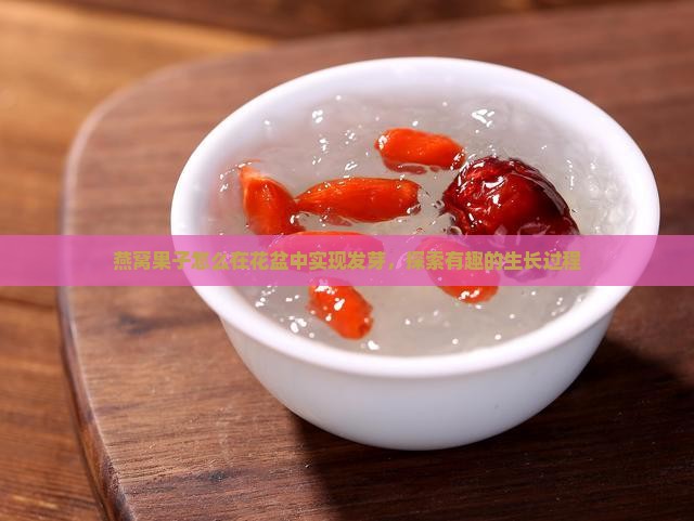 燕窝果子怎么在花盆中实现发芽，探索有趣的生长过程